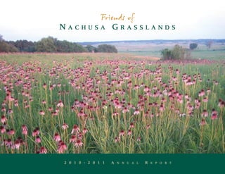 Friends of
NACHUSA GRASSLANDS




2 0 1 0 - 2 0 1 1   A   N N U A L   R   E P O R T
 