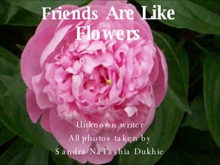 Friends  Are Like Flowers Unknown writer All photos taken by Sandra NaTashia Dukhie 