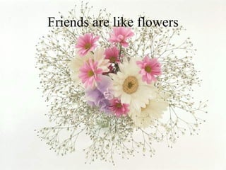 Friends are like flowers 