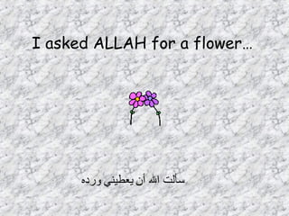 I asked ALLAH for a flower…   سألت الله أن   يعطيني   ورده   