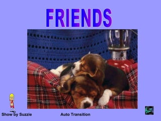 FRIENDS Show by Suzzie Auto Transition 