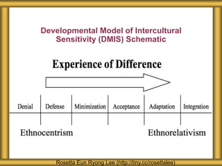 Developmental Model of Intercultural
   Sensitivity (DMIS) Schematic




   Rosetta Eun Ryong Lee (http://tiny.cc/rosettalee)
 