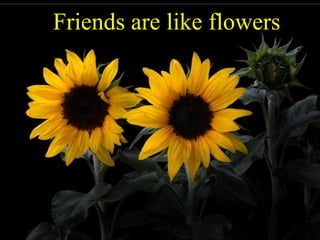 Friends are like flowers