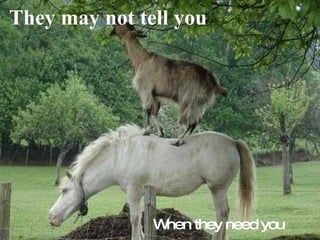 They may not tell you When they need you