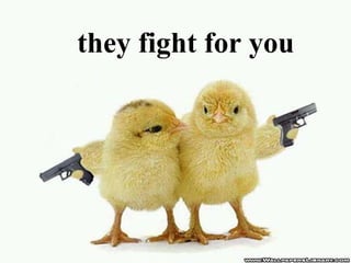 they fight for you