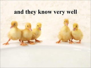 and they know very well