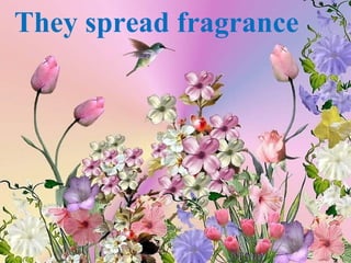 They spread fragrance