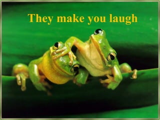They make you laugh