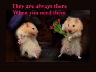 They are always there When you need them