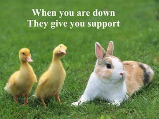 When you are down They give you support