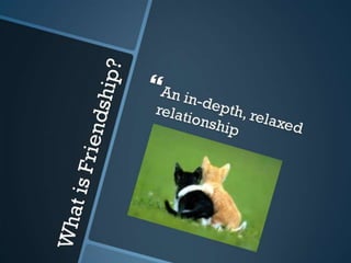 Friendship