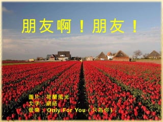 Peng 朋友啊朋友 朋友啊 ！ 朋友 ！ 圖片：荷蘭風光 文字：網絡  音樂： Only For You ( 只 為你 ) 