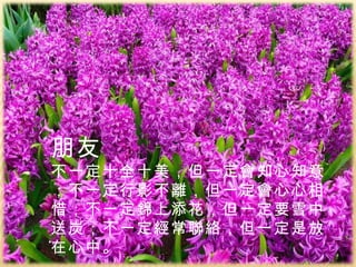 朋友 不一定十全十美，但一定會知心知意；不一定行影不離，但一定會心心相惜；不一定錦上添花，但一定要雪中送炭；不一定經常聯絡，但一定是放在心中。 