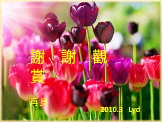 谢谢观赏 謝  謝  觀  賞 再見 2010.3  Lyd 