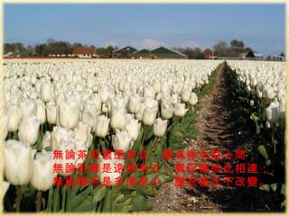 無論茶是濃還是淡，讓清香永駐心間； 無論距離是遠還是近，讓記憶彼此相連； 無論聯系是多還是少，讓祝福永不改變。 