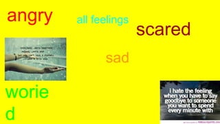 HAPP
angry
scared
sad
worie
d
all feelings
 