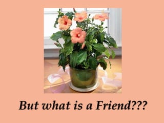 But what is a Friend???
 