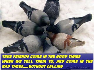 Image by E.L.A
True friends come in the good times
when we tell them to, and come in the
bad times.....without calling
 