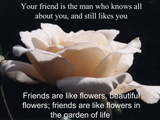 Your friend is the man who knows all about you, and still likes you Friends are like flowers, beautiful flowers; friends are like flowers in the garden of life