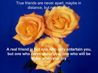 True friends are never apart, maybe in distance, but not in heart A real friend is not one who only entertain you, but one who cares about you, one who will be there when you cry