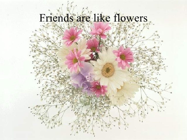 Friendship Flower Template