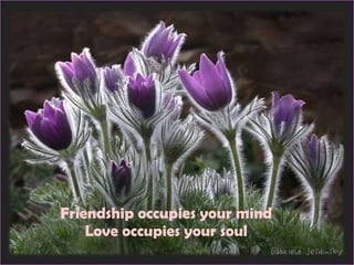 Friendship occupies your mind Love occupies your soul