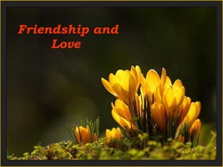 Friendship and Love  