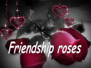 Friendship roses 