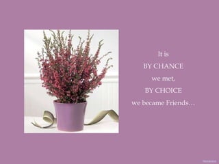 It is BY CHANCE we met, BY CHOICE we became Friends… Nidokidos 