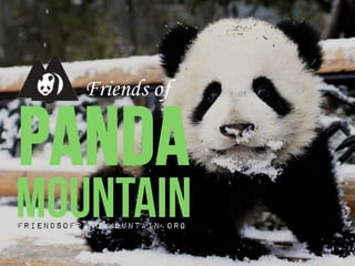 panda
Friends of
MountainFriendsofPandaMountain.org
 