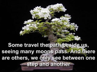 Some travel the path beside us, seeing many moons pass. And there are others, we only see between one step and another<br />