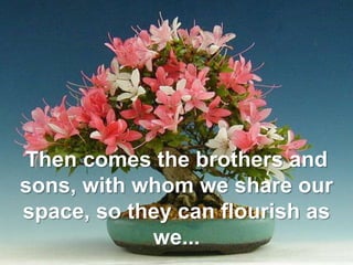 Then comes the brothers and sons, with whom we share our space, so they can flourish as we...<br />