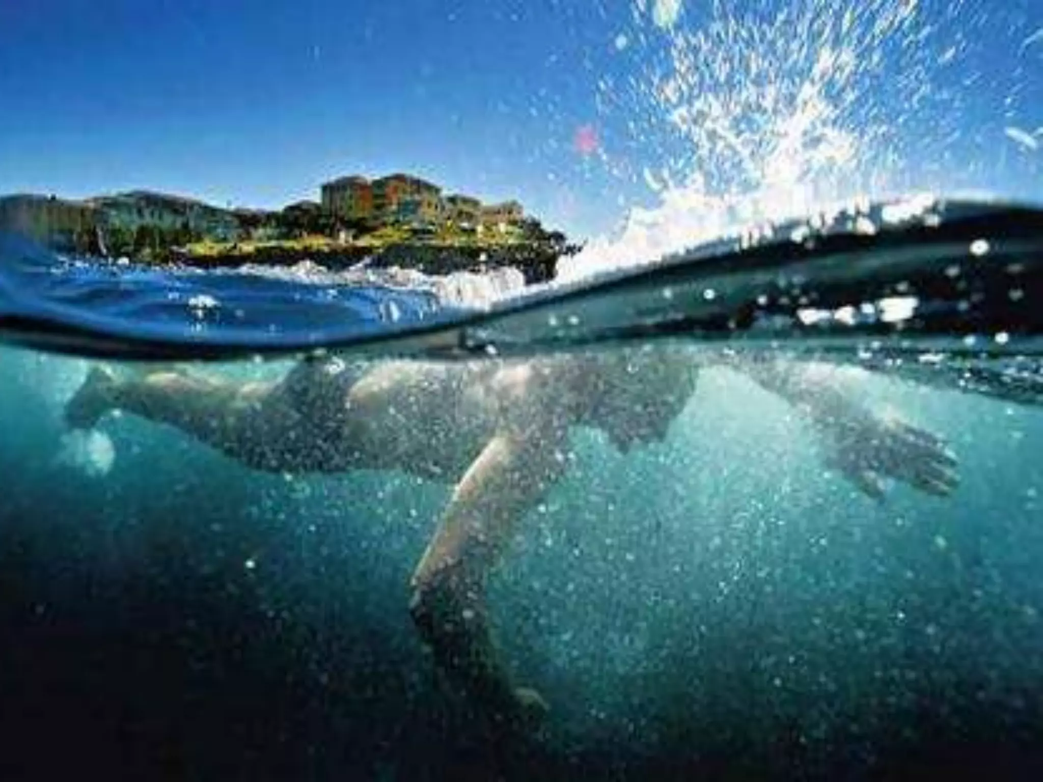 Do’s and don’ts of using social media with franchisees and their staffBut... what do you want?