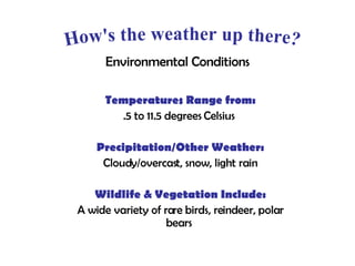 Environmental Conditions Temperatures Range from: .5 to 11.5 degrees Celsius  Precipitation/Other Weather: Cloudy/overcast, snow, light rain Wildlife & Vegetation Include: A wide variety of rare birds, reindeer, polar bears  How's the weather up there? 