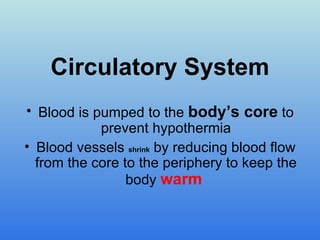 Circulatory System Blood is pumped to the body’s core to prevent hypothermia Blood vessels shrink by reducing blood flow from the core to the periphery to keep the body warm