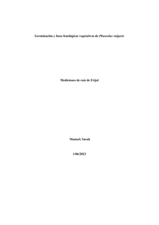 Germinación y fases fenológicas vegetativas de Phaseolus vulgaris
Mediciones de raíz de Fríjol
Manuel; Sarah
1/06/2023
 