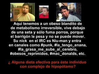 Aquí tenemos a un obeso blandito de de metabolismo irreversible, vive debajo de una seta y sólo fuma porros, porque  el barrigón le pesa y no se puede mover. Su nick  en el IRC es Niu-man y entra  en canales como #punk, #la_tengo_enana, #la_grasa_me_sube_al_cerebro, #obesos_reprimidos, #mac_donalds, etc. ¿ Alguna dieta efectiva para éste individuo  con complejo de hipopótamo? 
