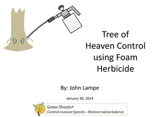 Tree of
Heaven Control
using Foam
Herbicide
By: John Lampe
January 30, 2014

 