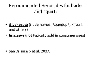 Recommended Herbicides for hackand-squirt:
• Glyphosate (trade names: Roundup®, Killzall,
and others)
• Imazapyr (not typically sold in consumer sizes)

• See DiTimaso et al. 2007.

 
