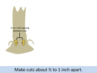 ½ to 1 inch spacing
between cuts

Make cuts about ½ to 1 inch apart.

 