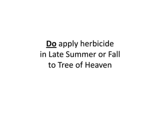 Do apply herbicide
in Late Summer or Fall
to Tree of Heaven

 