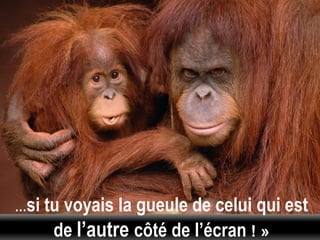 …si   tu voyais la gueule de celui qui est
       de l’autre côté de l’écran ! »
 