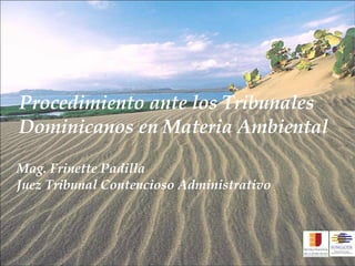 Procedimiento ante los Tribunales Dominicanos en Materia Ambiental Mag. Frinette Padilla Juez Tribunal Contencioso Administrativo 