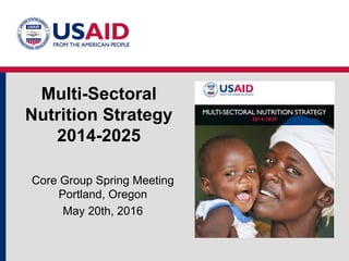 Multi-Sectoral
Nutrition Strategy
2014-2025
Core Group Spring Meeting
Portland, Oregon
May 20th, 2016
 