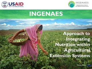 INGENAES
Approach to
Integrating
Nutrition within
Agricultural
Extension Systems
Photo credit: CGAP
 