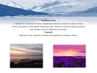 Incidência do Sol 
se mantém no céu durante 24 horas, enquanto que, durante o inverno, há apenas 3 horas 
inverno, há apenas 3 horas diárias de presença solar. Durante o ano todo, há pouco mais de 
todo, há pouco mais de 1000 horas de luz solar. 
Vegetação 
Taipa que é uma vegetação é formada principalmente de musgos e liquens. 
 