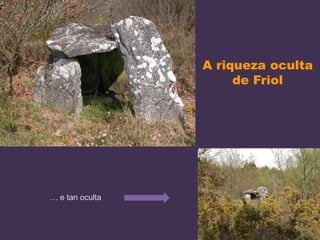 A riqueza oculta
de Friol
… e tan oculta
 