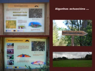 Algunhas actuacións …
 