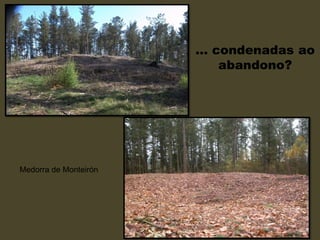 … condenadas ao
abandono?
Medorra de Monteirón
 