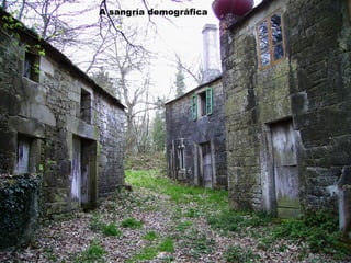 A sangría demográfica
 
